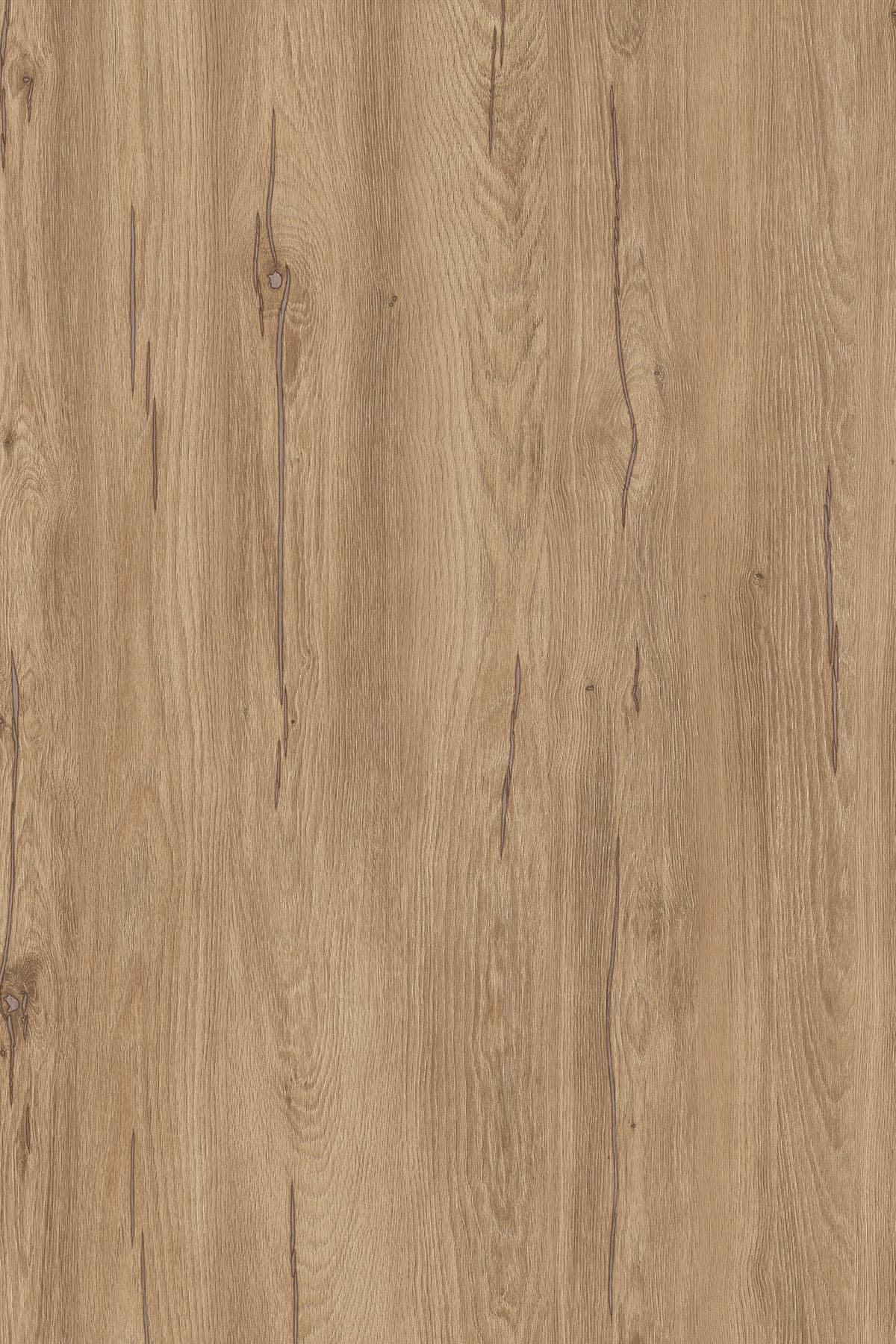 UN-KR Hazel Silverjack Oak K544RW/18 2800x2070mm