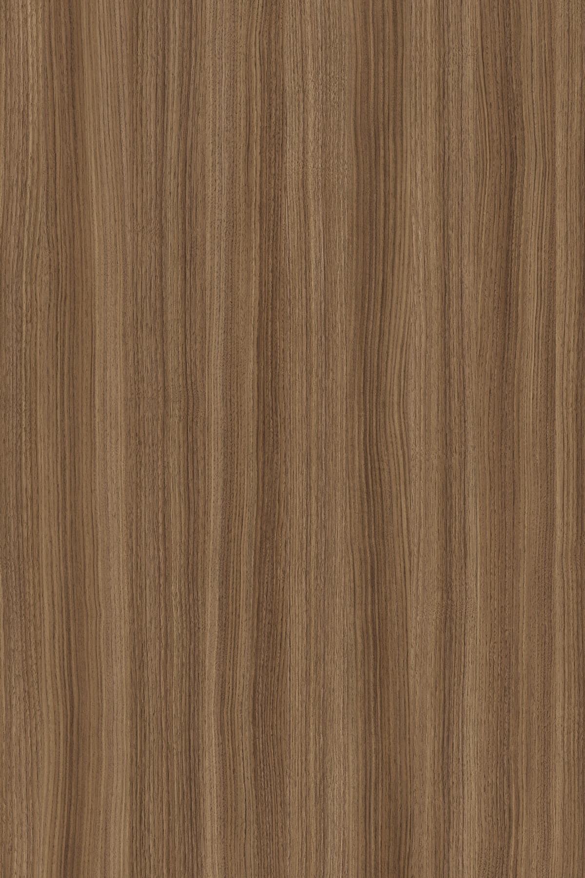 UN-KR Caramel Franklin Walnut K546RW/18 2800x2070mm